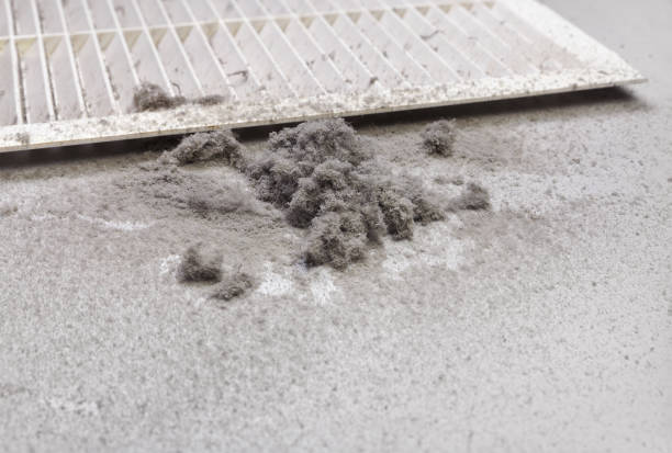 Best Dryer Vent Cleaning Services  in Delphos, OH