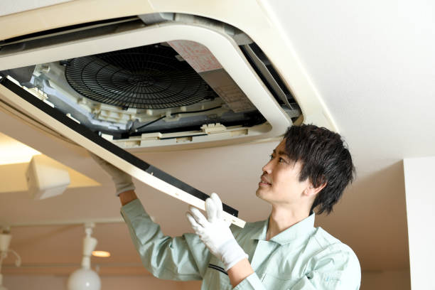 Best Home Air Vent Cleaning  in Delphos, OH