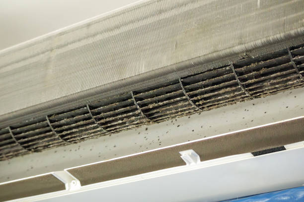 Best Ventilation Cleaning Services  in Delphos, OH