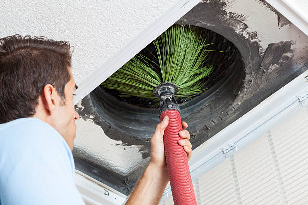 Best Home Air Vent Cleaning  in Delphos, OH